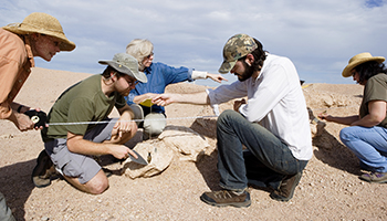 Decorative photo representing the degree Anthropology (Complex Adaptive Systems Science), PHD