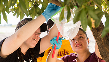 Decorative photo representing the degree Biological Sciences (Conservation Biology and Ecology), BS