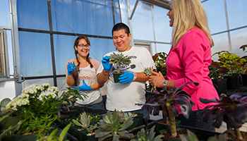 Decorative photo representing the degree Plant Biology and Conservation, MS